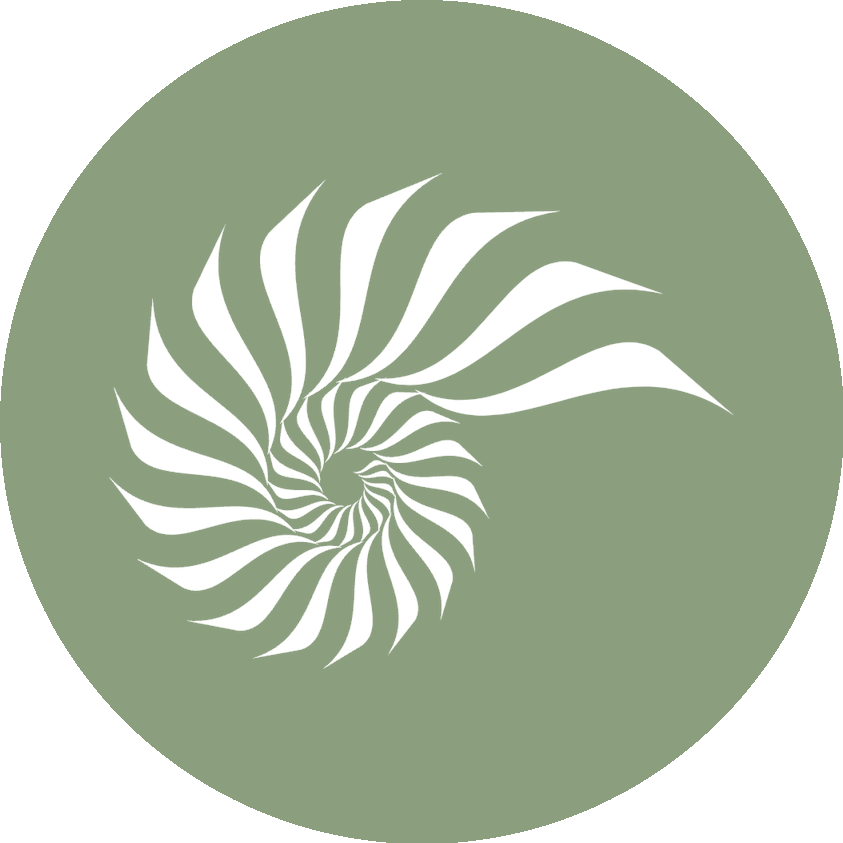 The Evaligned nautilus shell